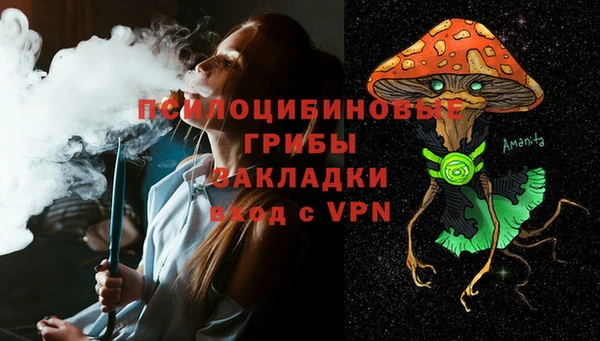 амф Алзамай