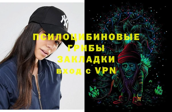 спайс Алексин