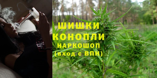 спайс Алексин