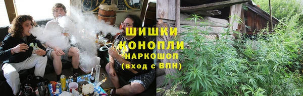 спайс Алексин