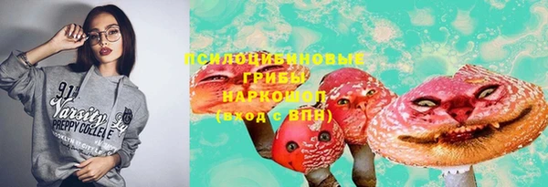 спайс Алексин