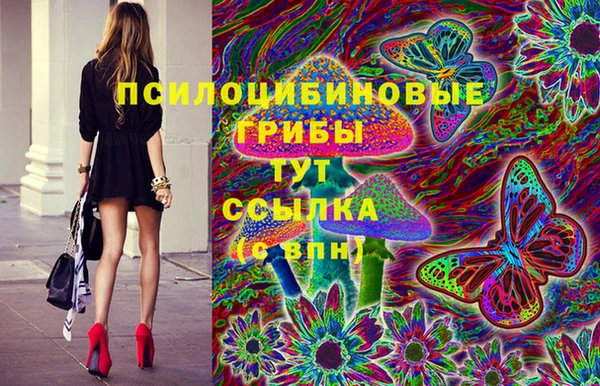 спайс Алексин