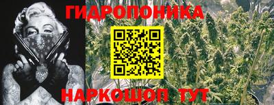 стаф Камышлов
