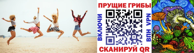 Галлюциногенные грибы Psilocybine cubensis  Находка 