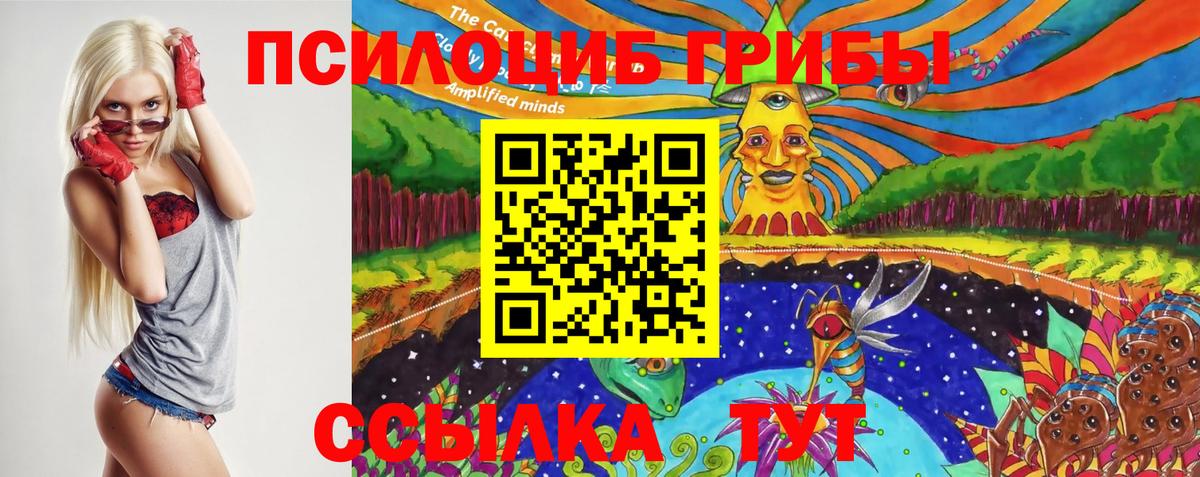 Псилоцибиновые грибы Psilocybine cubensis Находка