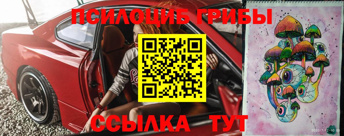 Галлюциногенные грибы Psilocybe  Вход с VPN  Находка 